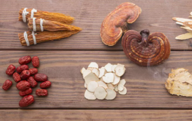 傳承藥食同源，衍生健康入選鐵皮石斛、西洋參、靈芝藥食同源首批試點